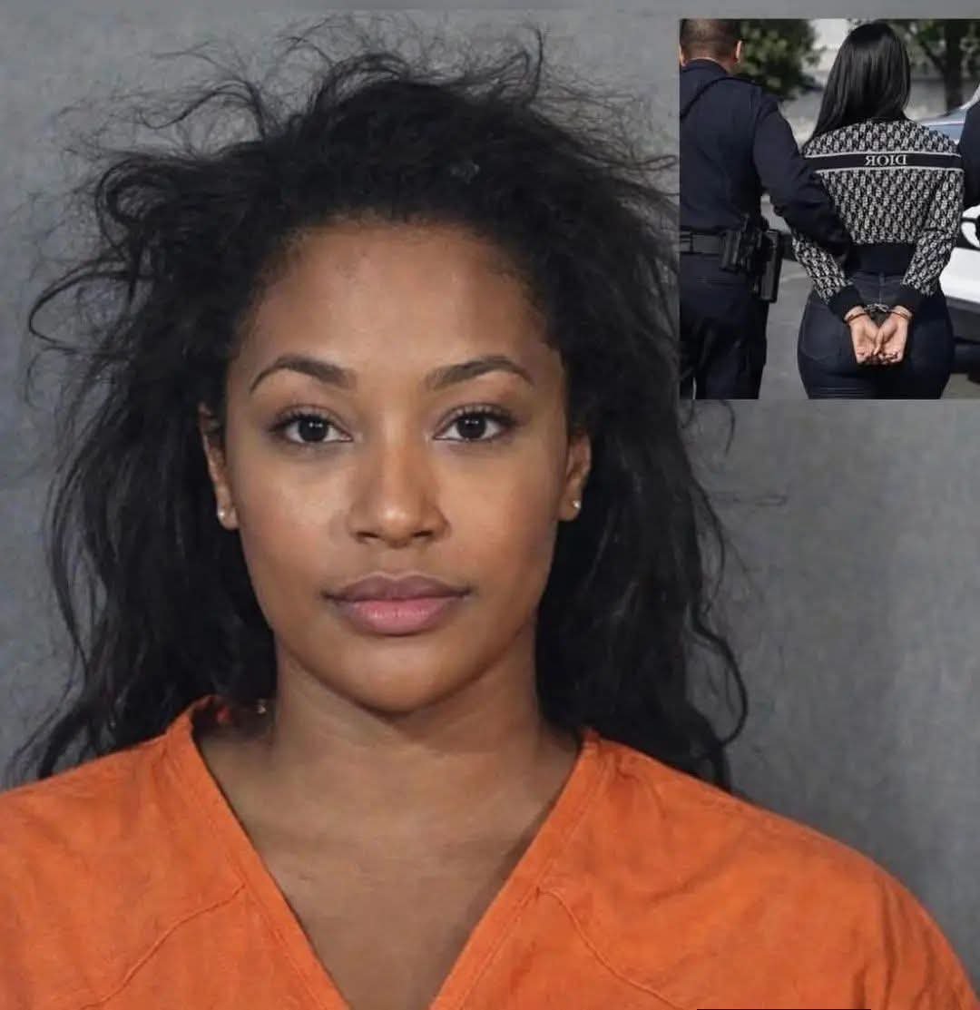 Le Media 100Filtre tweet media