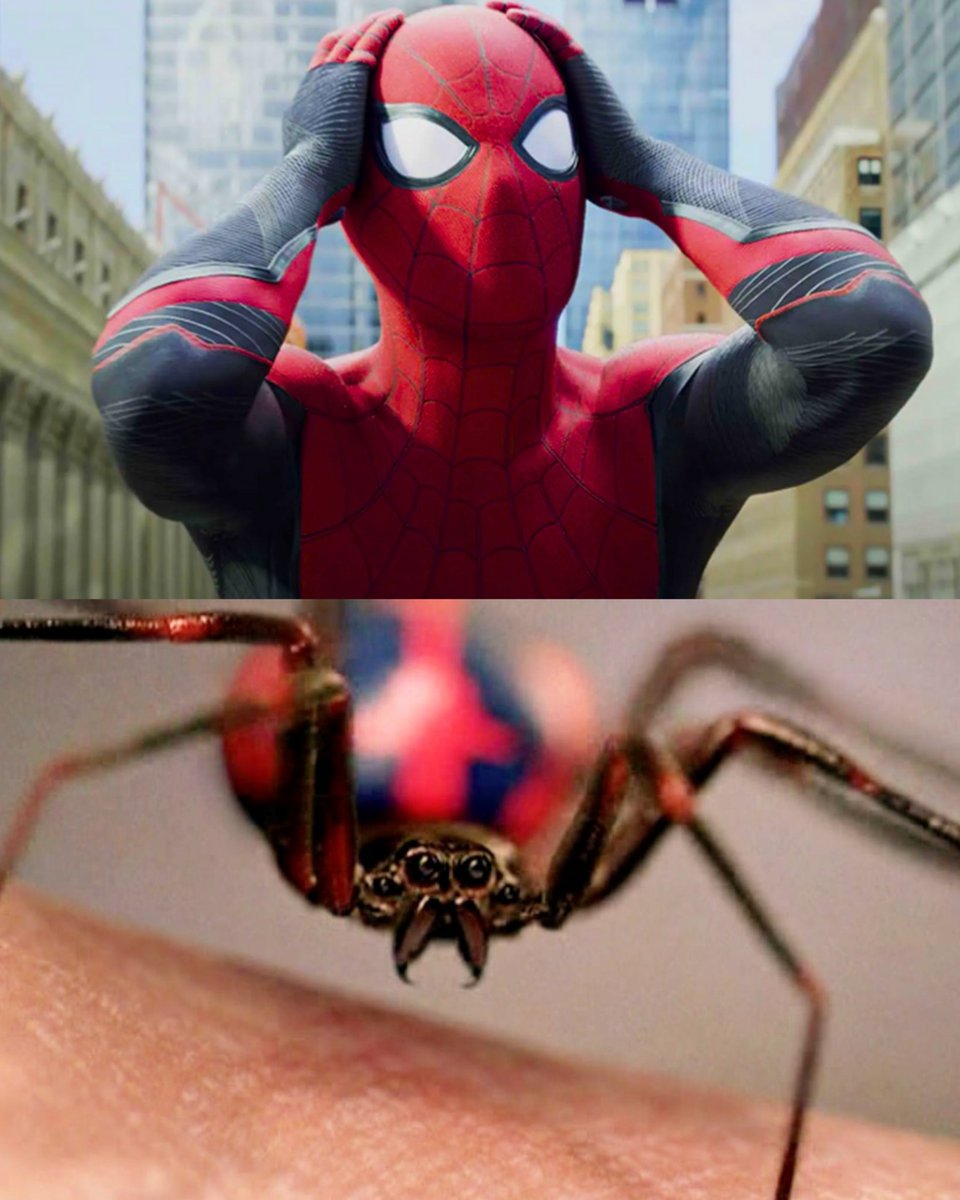Earth 616 tweet media