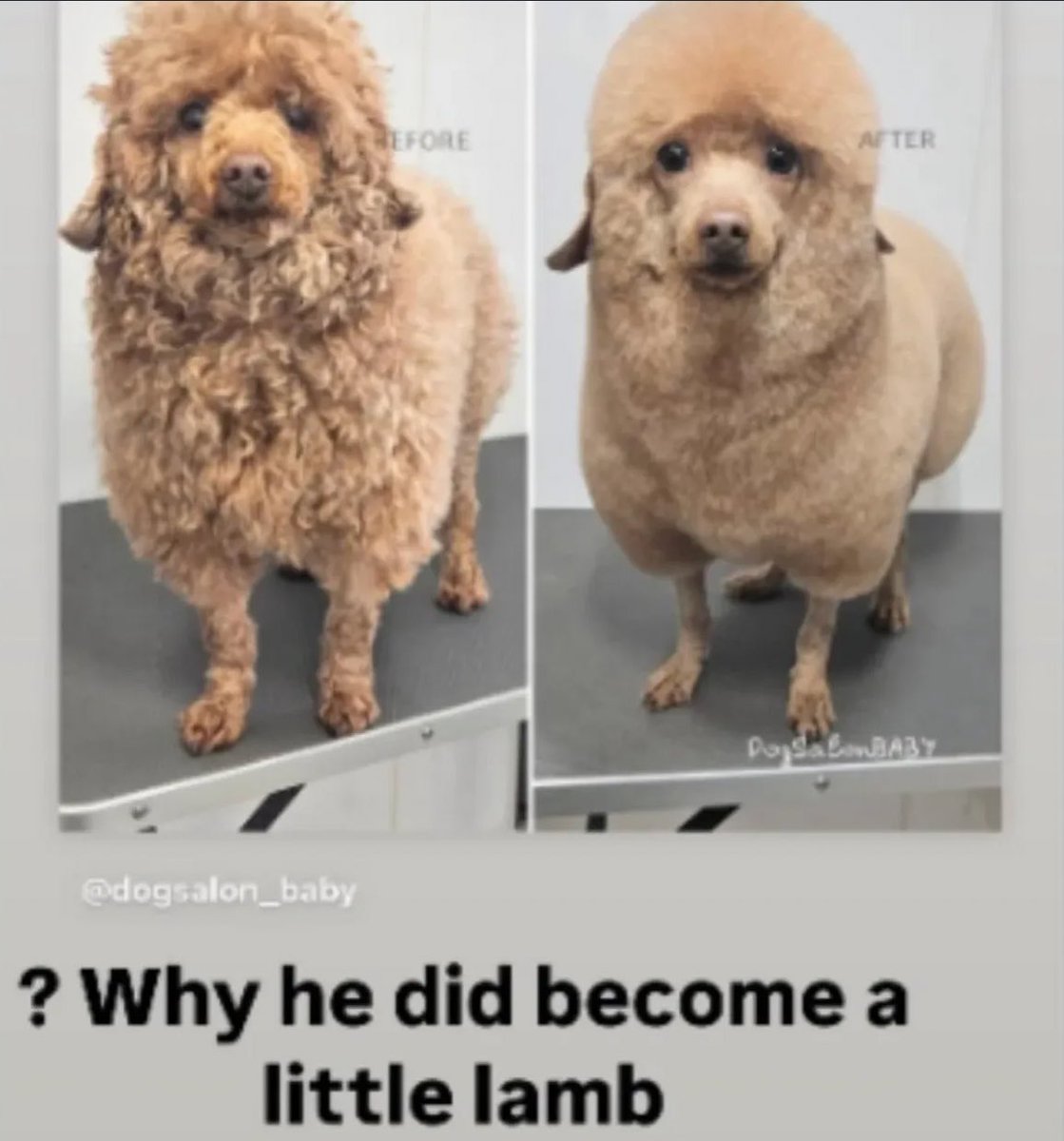 god forbid he wants to cosplay