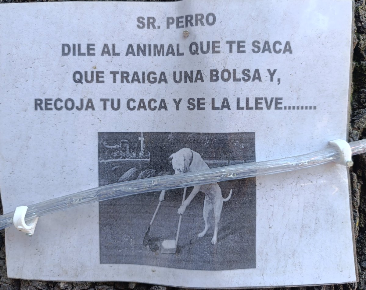 elwikivladi's tweet photo. JAJAJAJA , ESPUTIDOS, mi perro no sabe leer https://t.co/GOyOE9HZq4