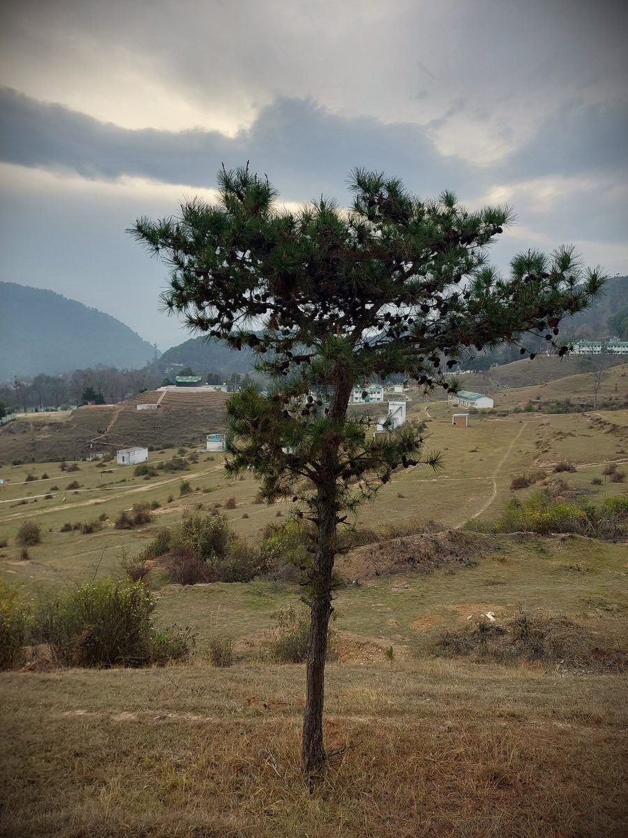 Nature Lover tweet media