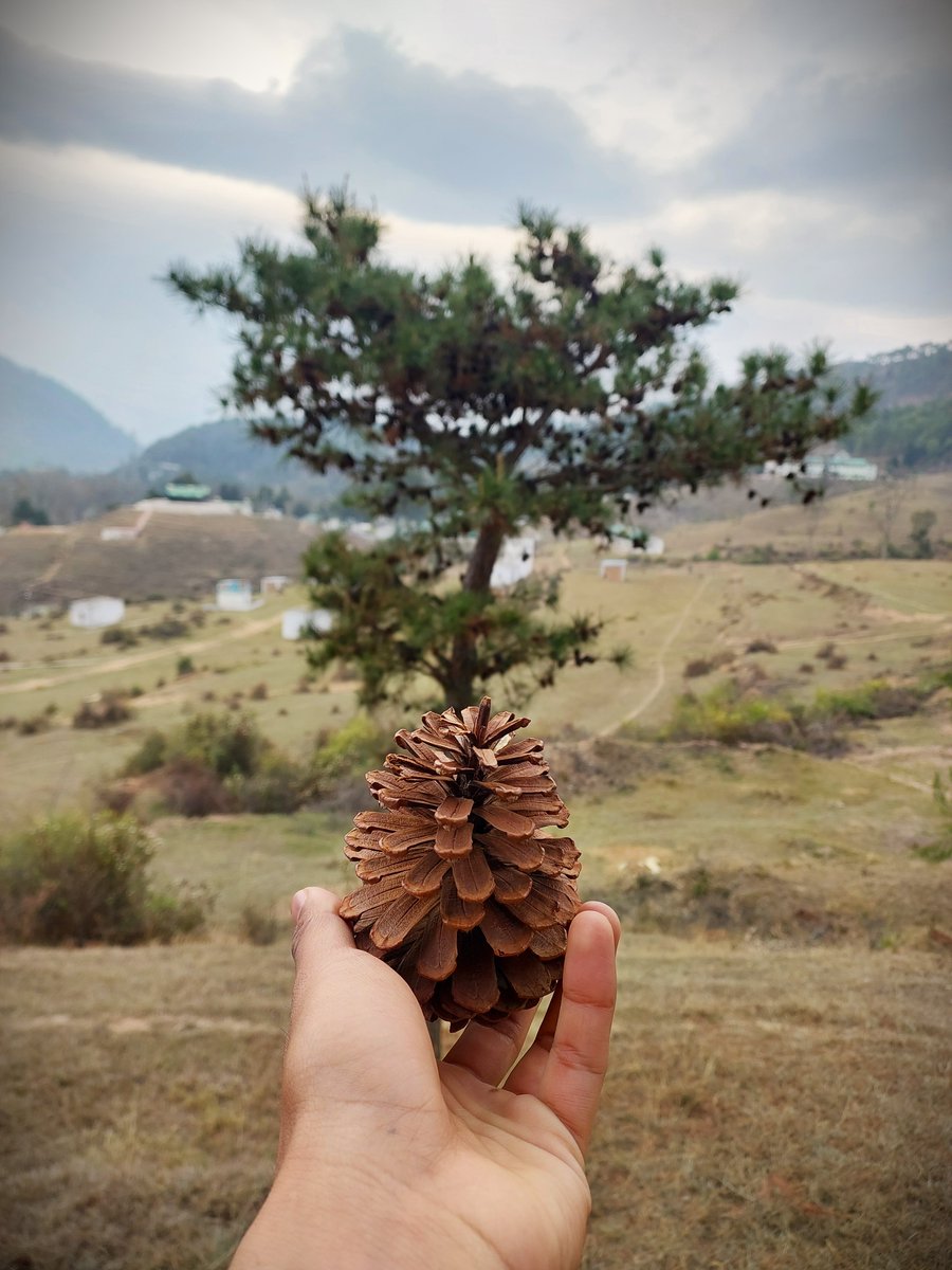 Nature Lover tweet media