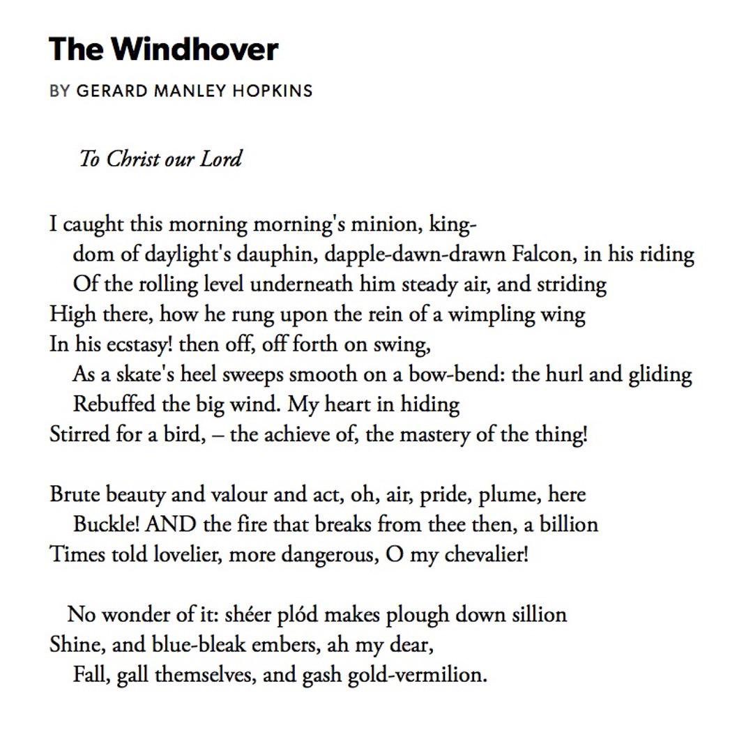 charlotte tweet media