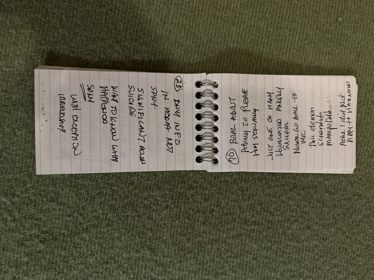 Sandi Bachom 📹 tweet media