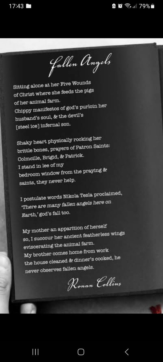 Ronan poetry tweet media