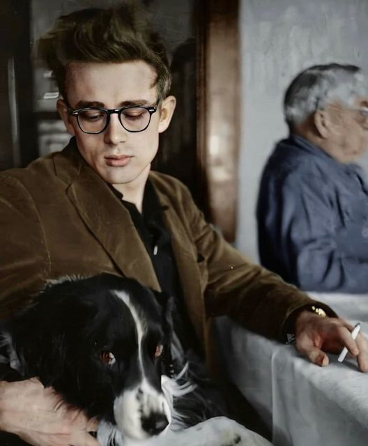 Humphrey Bogart dijo sobre él : “Dean murió en el momento justo. Dejó tras de sí una leyenda. Si hubiera vivido nunca habría sido capaz de estar a la altura de su publicidad”.
Hoy tendría 93 años, pertenecía a la generación de Connery, Eastwood y Hackman. 
#JamesDean
8/02/1931
🎂