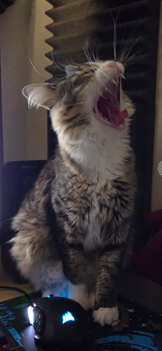 Greaderさま tweet media