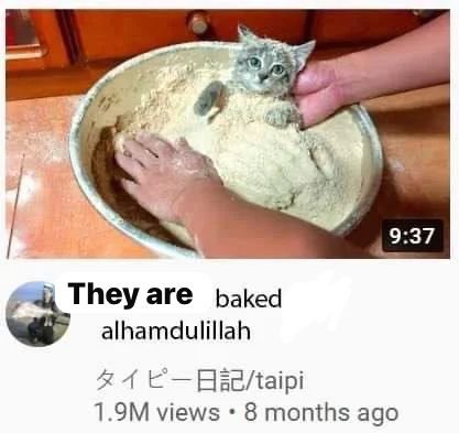 ـصـ (@karakmiles) on Twitter photo 