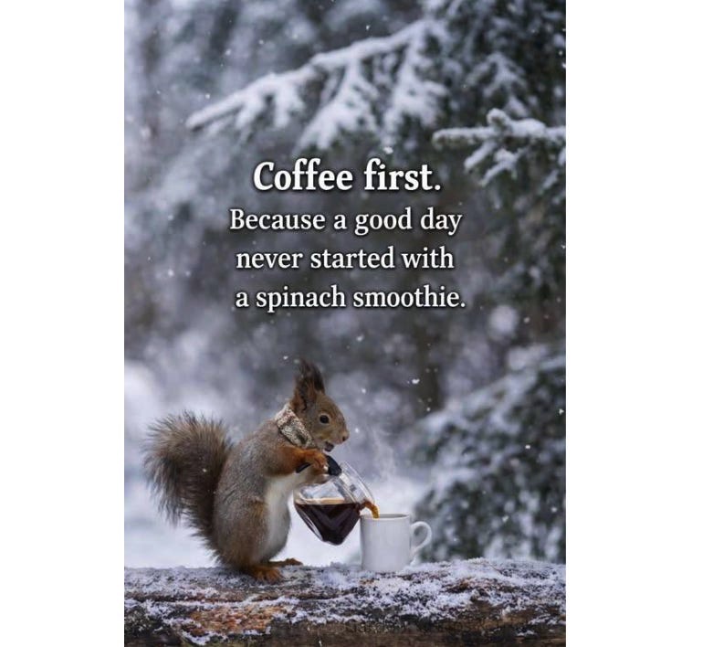 WriteInSatan's tweet image. Coffee first. Because a good day never started with a spinach smoothie.

h/t @RWMaloneMD