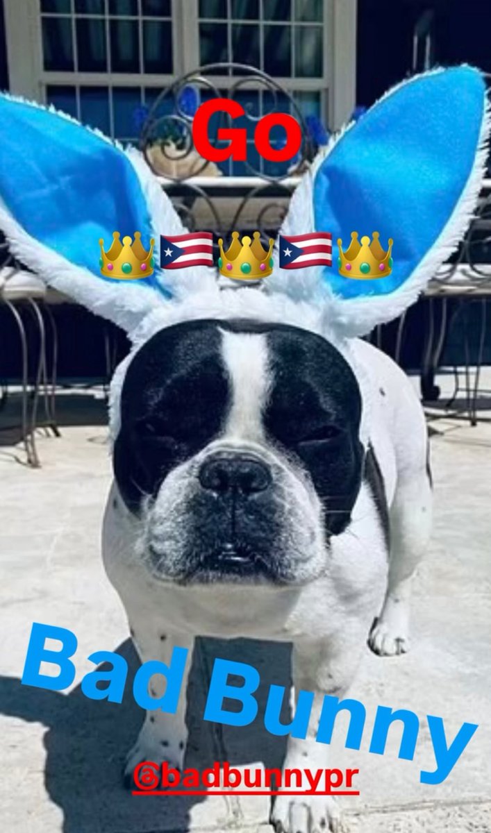 bbunnyontour's tweet photo. Madonna showing support to Benito 🥹✨ 

#AppleMusicHalftime 
#SuperBowlLX https://t.co/vOg6wFLXtr