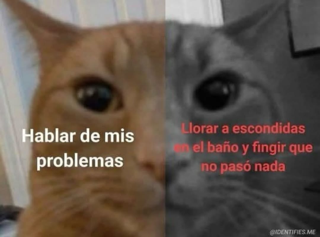 bauldefrases (@suspirxsalaire) on Twitter photo 