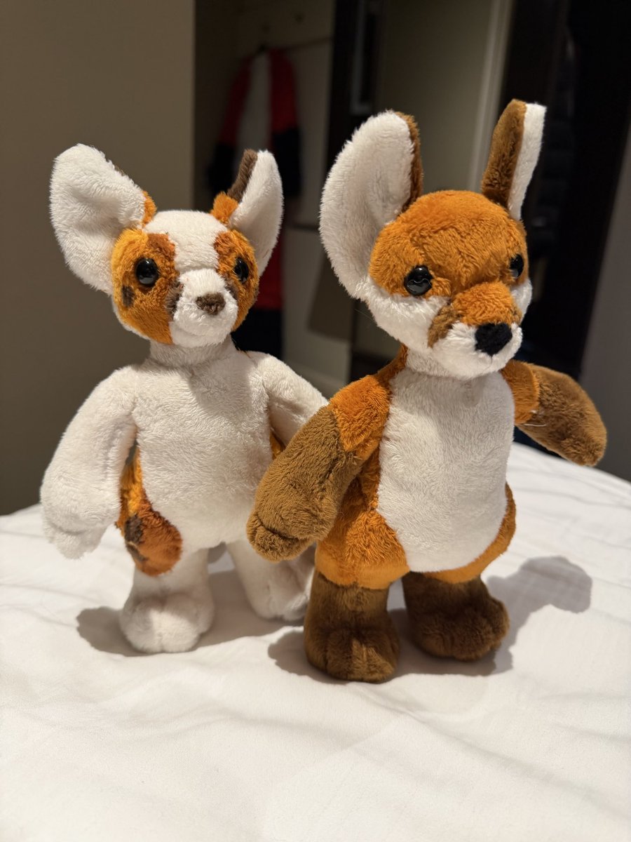 EmberTheFoxxo's tweet photo. @WeaselWares Here they are with a fox friend.  I love them so much, adorable. https://t.co/KOUbV0gID0