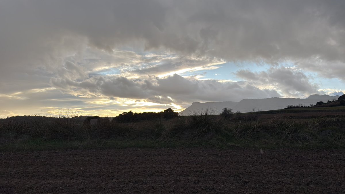 Pep Espelt tweet media