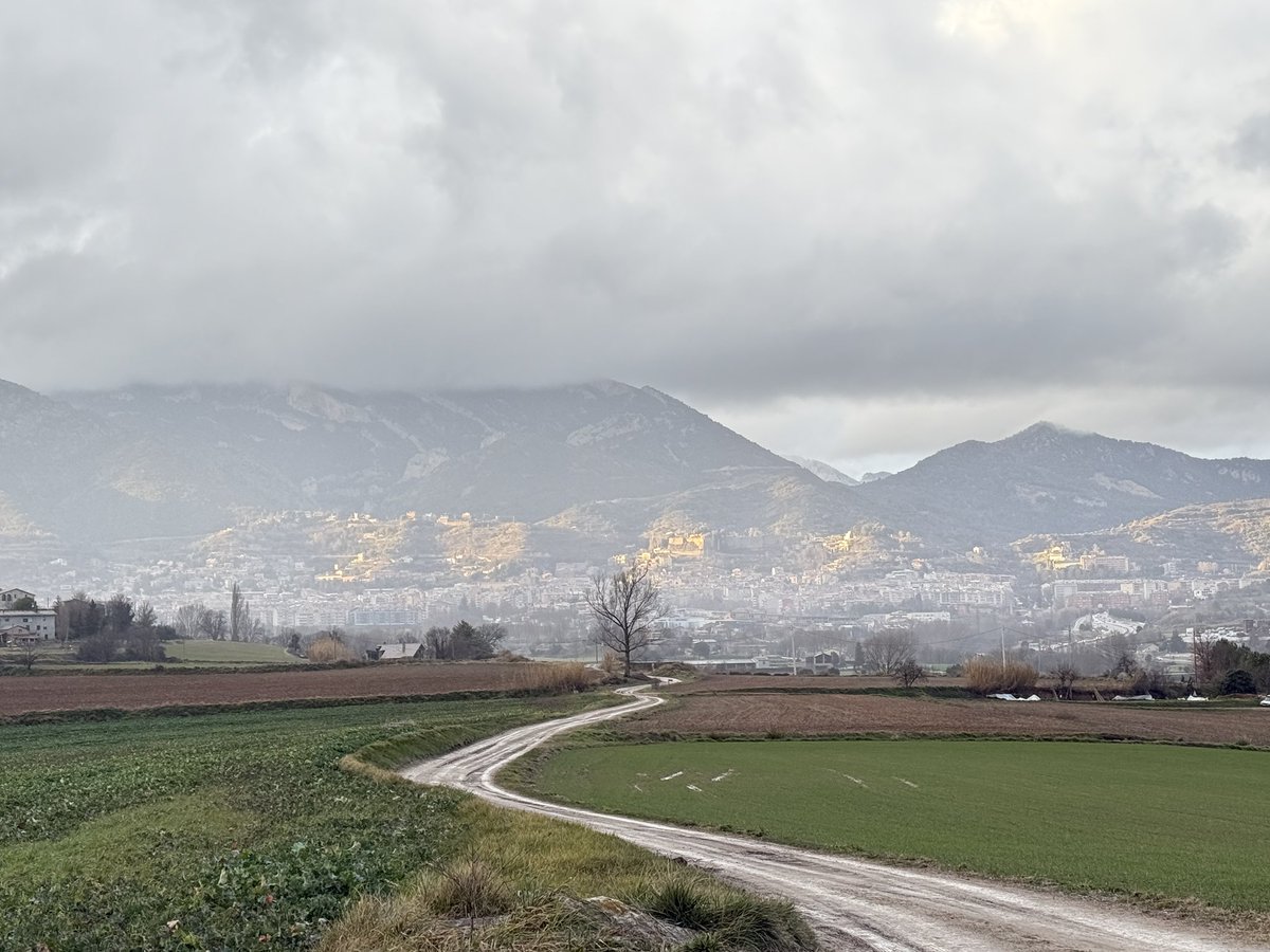 Pep Espelt tweet media