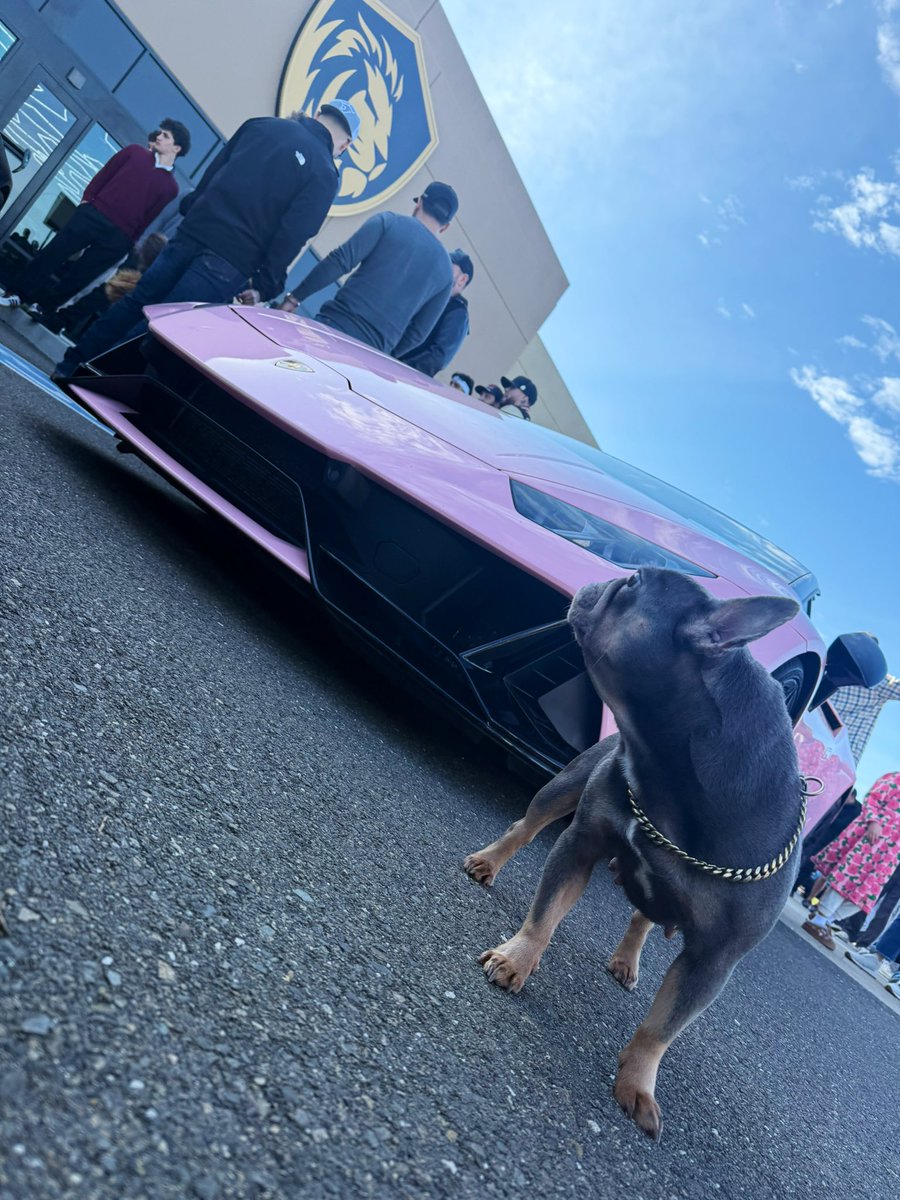 Slum Dog Billionaire tweet media