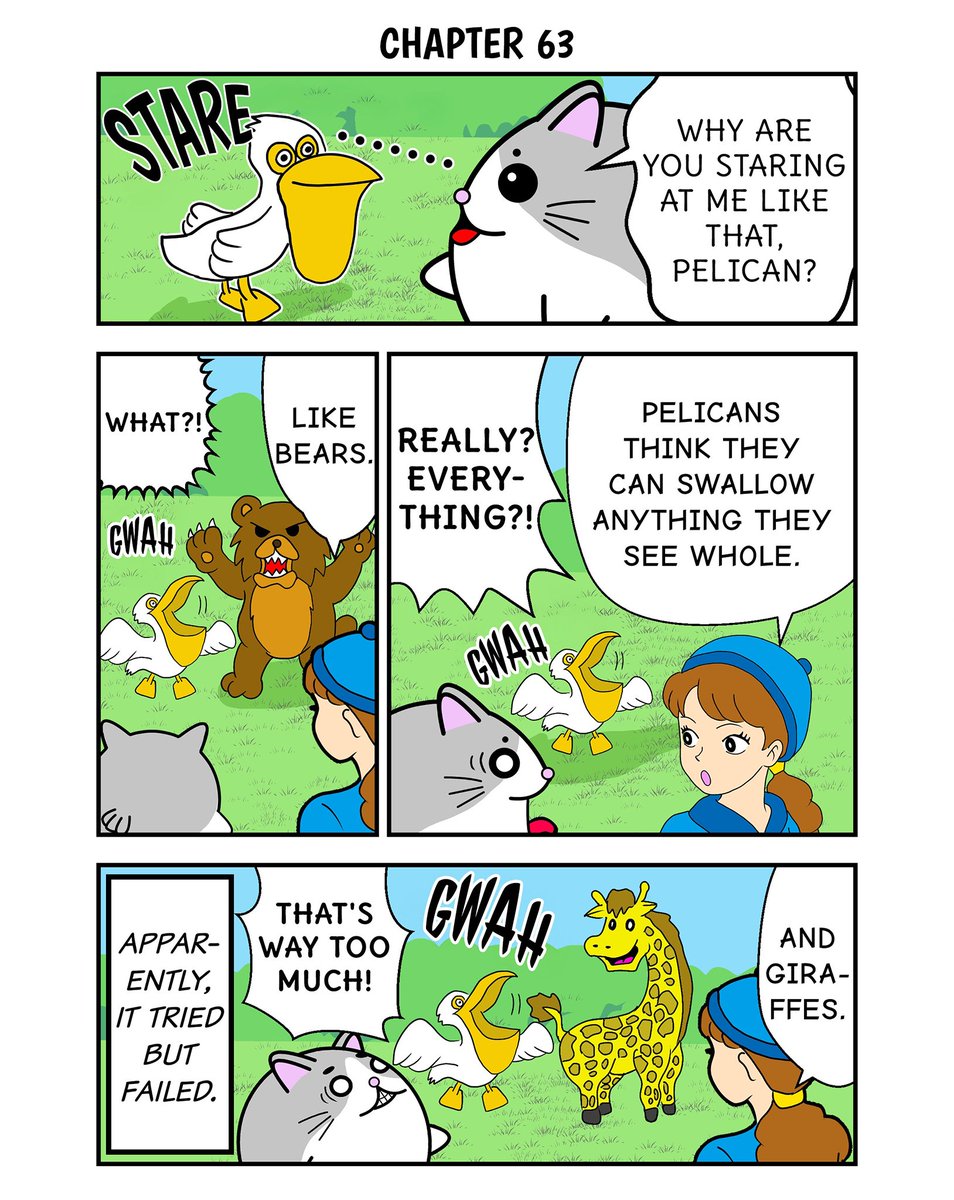 Seal Cat!? Vol 2『Chapter 63』PELICAN①🪽 Continued tomorrow