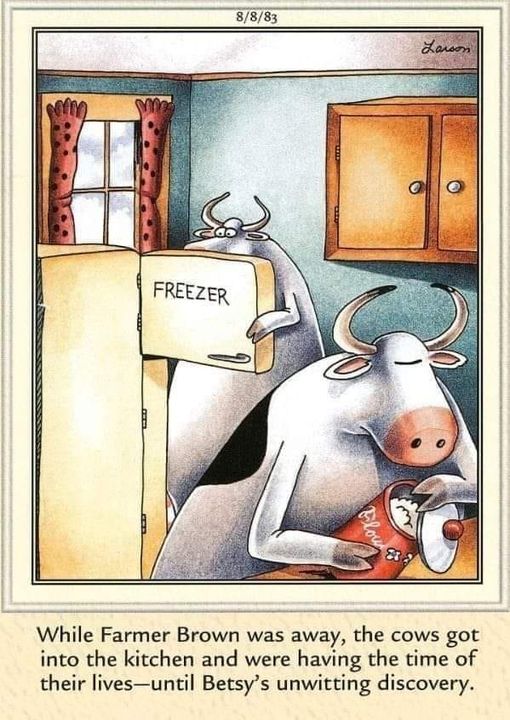 Sunday chill Moo...
kick.com/cowtopia-Live