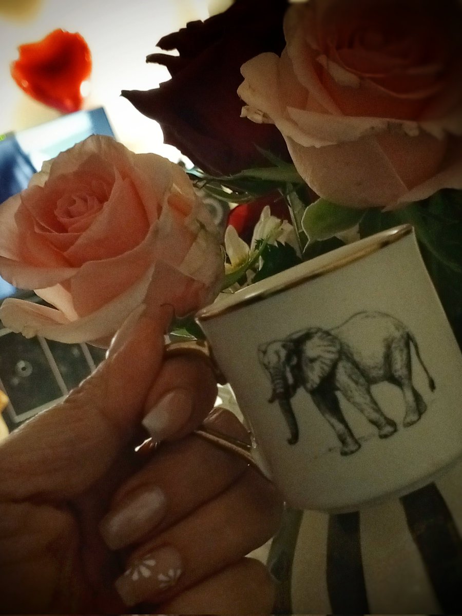 _CravingLady's tweet image. İyi geceler #Kahvesi🎀