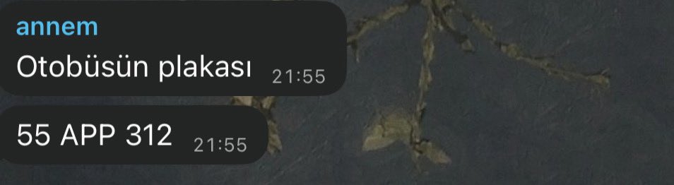 kardesim her otobuse bindigimde plaka guncellemesi yapiyo kaybolurum diye