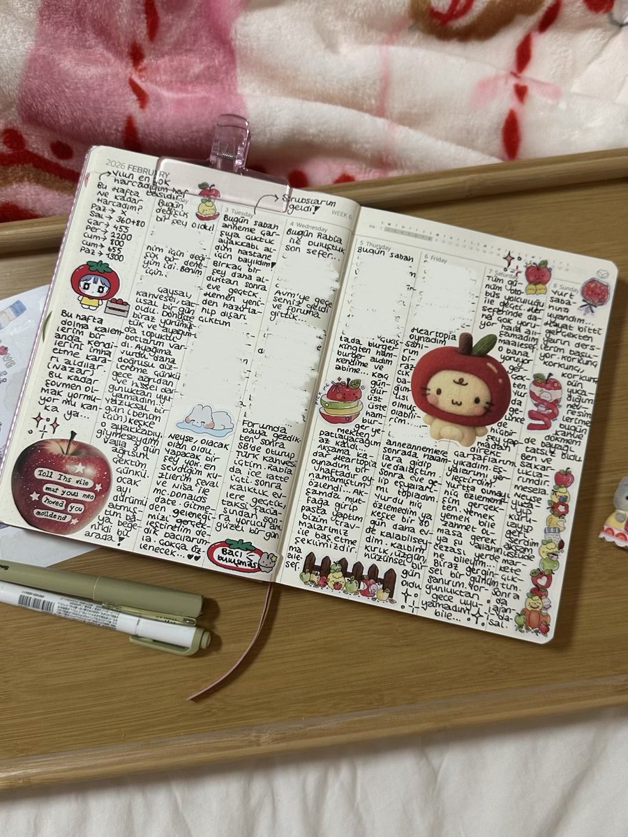 biz bu hafta biraz elmaydik haberiniz olsun🍎✨🙌🏻🤍🌟✨🌛