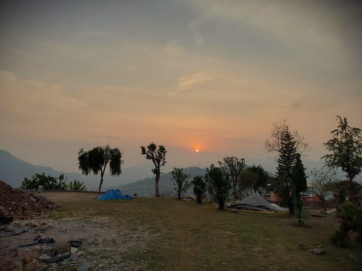 Nature Lover tweet media