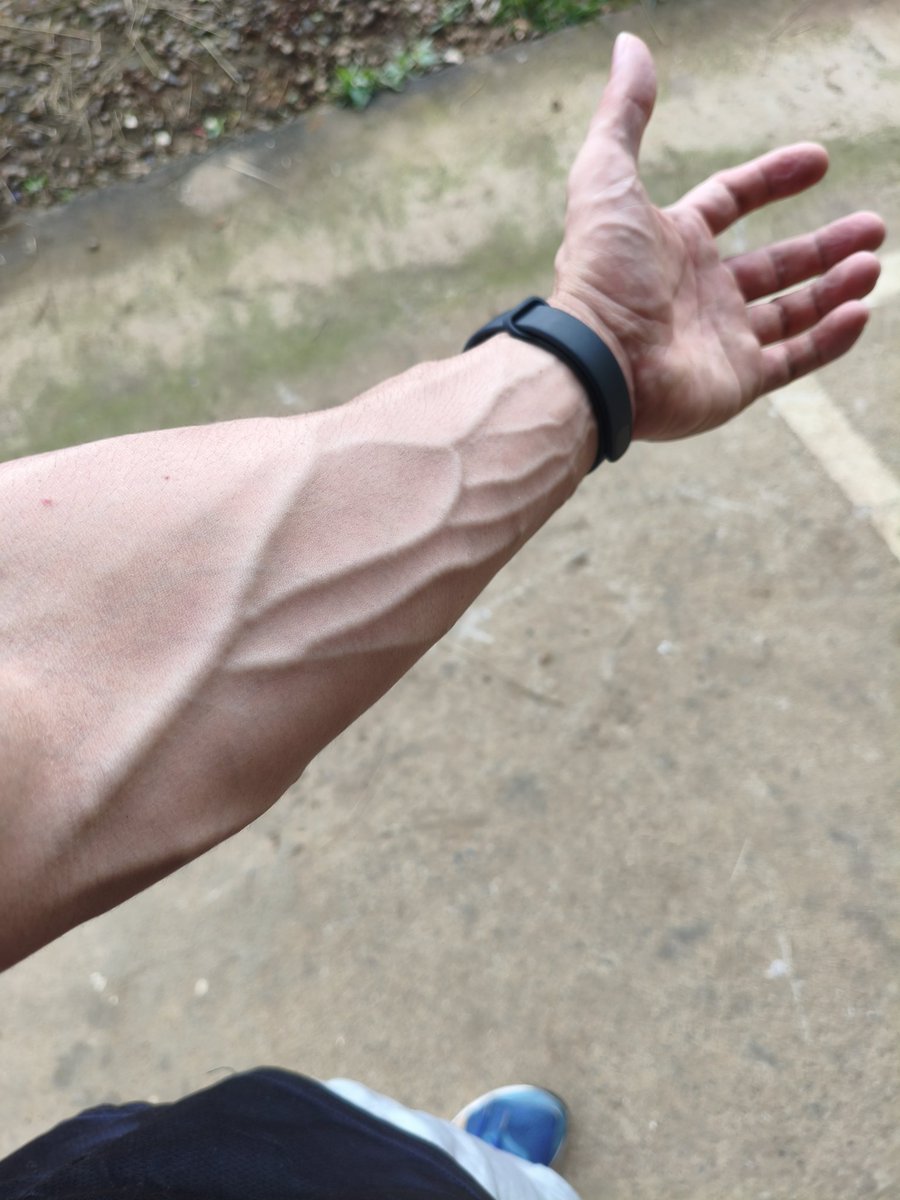 ¿Te gustan los brazos de macho?