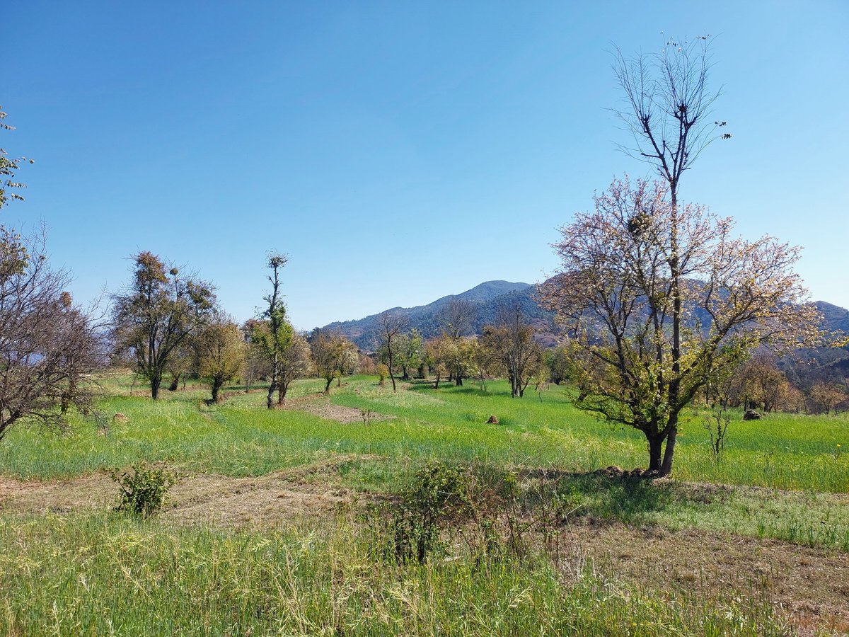 Nature Lover tweet media