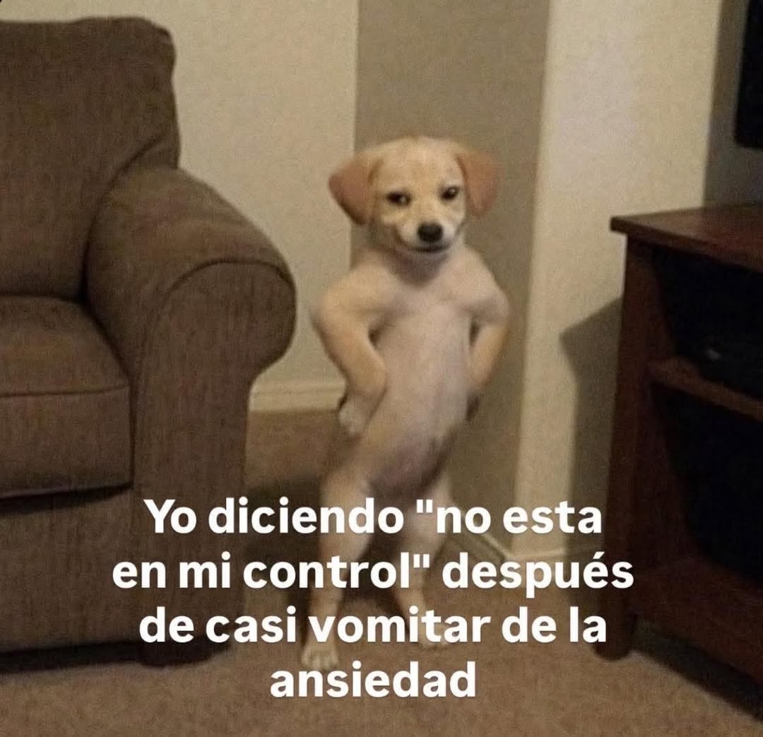 bauldefrases (@suspirxsalaire) on Twitter photo 