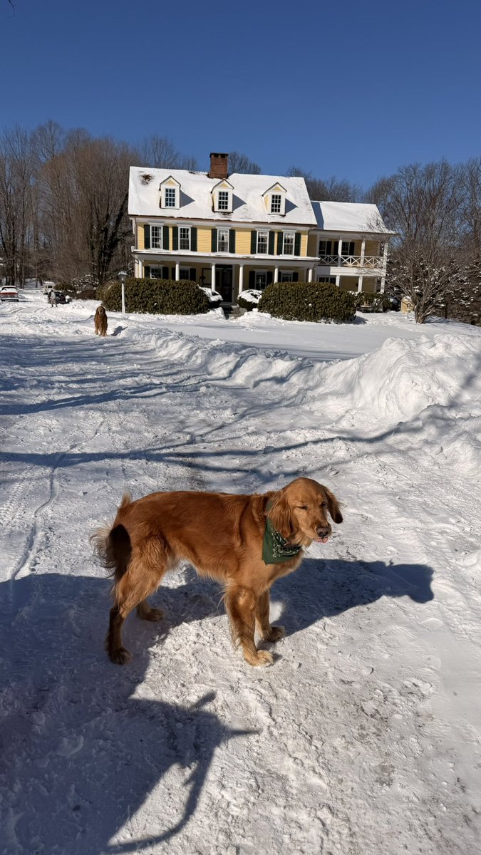 ▼ Kiel James Patrick tweet media