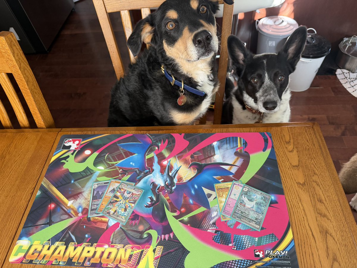 Austin Ditschun tweet media