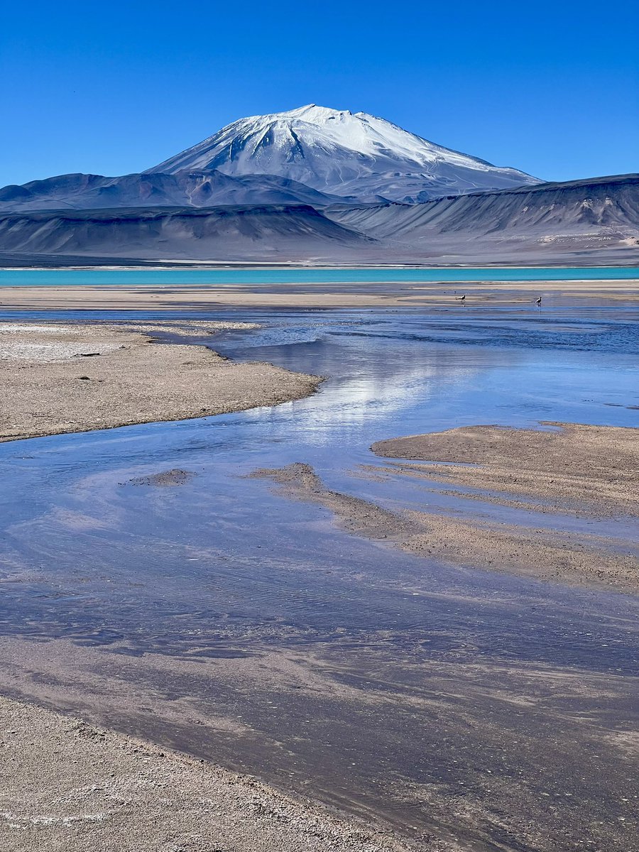 alpīnists Kristaps Liepiņš tweet media