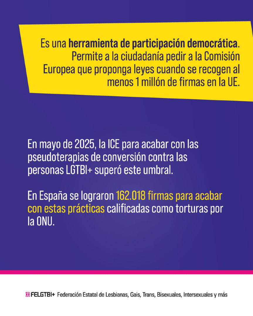 Federación Estatal LGTBI+ tweet media