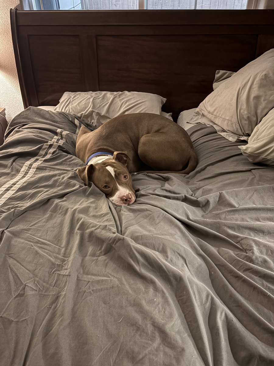 Corey Davis tweet media