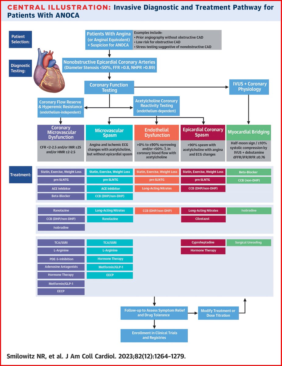 INOCA_belgium's tweet photo. #ANOCA #INOCA #MINOCA #NOCAD 🫀
#Diagnosis #Endotypes #Treatment
#CAS #VSA #CMD #MVA ❤️🩹
#EndothelialDysfunction #MyocardialBridging
#MixedEndotypes
#CoronaryFUNCTIONtesting
#Adenosine #Acetylcholine
1/2 https://t.co/q9xomN3BGG