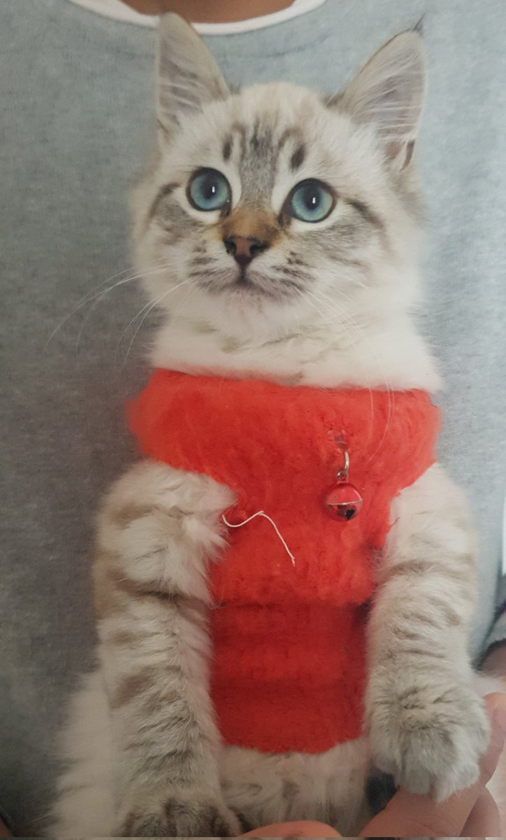 My Sir Sombol 🥰😊