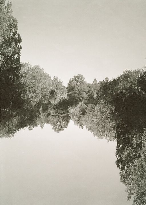 Art of the Day! "New Reality". Buy at: ArtPal.com/jewelsartphoto…
