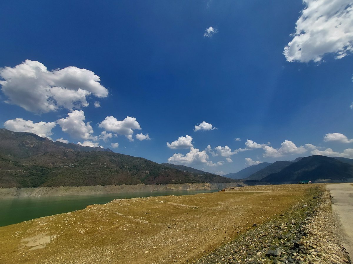 Nature Lover tweet media