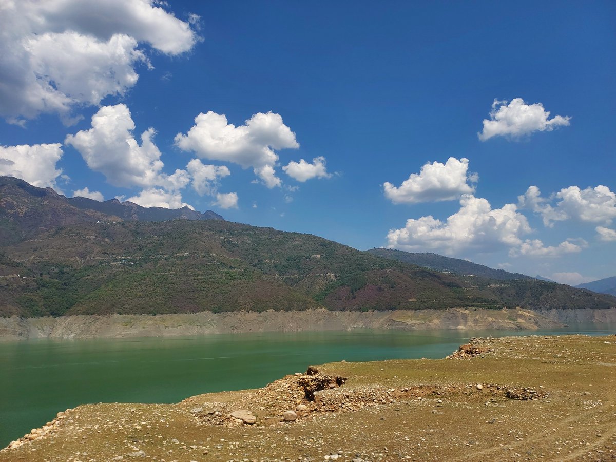 Nature Lover tweet media