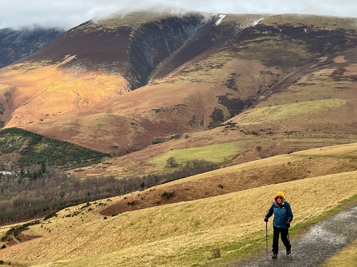 Sue Wilkinson tweet media