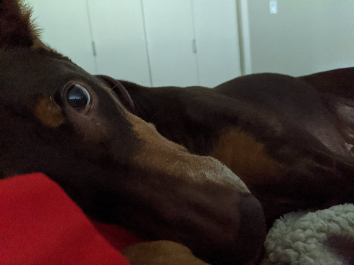 Calli @ m11s tweet media