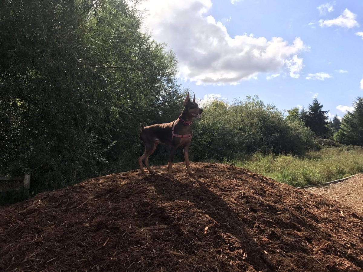 Calli @ m11s tweet media