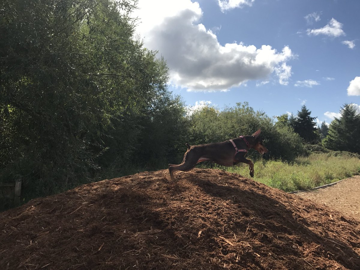 Calli @ m11s tweet media