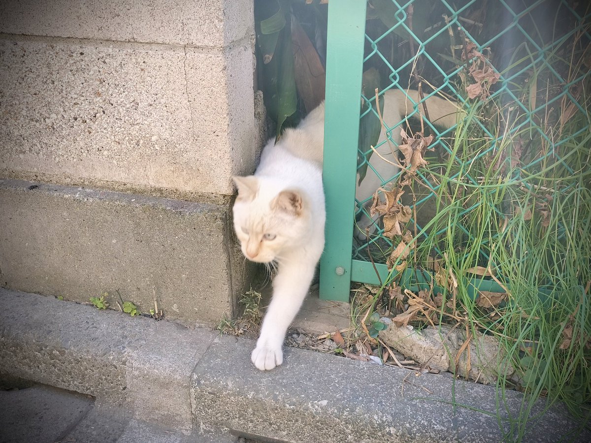 今日の仕事
入管行って、一旦戻って千葉
