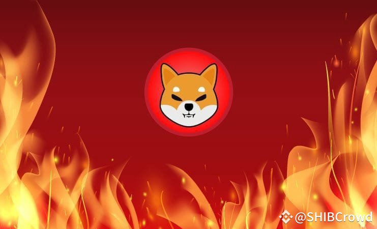 SHIBCrowd's tweet photo. I am confident #Shibalnu is going to $0.01😳🔥🚀

IF YOU OWN $SHIB , Repost!🔥 https://t.co/9rGYOtQgGA