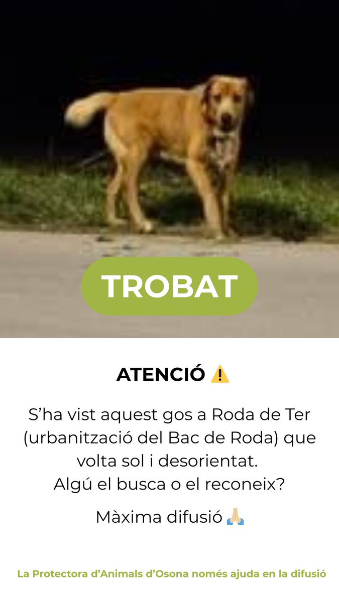 ATENCIÓ ⚠️: S’ha vist aquest gos a #RodaDeTer (urbanització del Bac de Roda) que volta sol i desorientat. Algú el busca o el reconeix? Màxima difusió 🙏🏼

La Protectora d’Animals d’Osona només ajuda en la difusió.