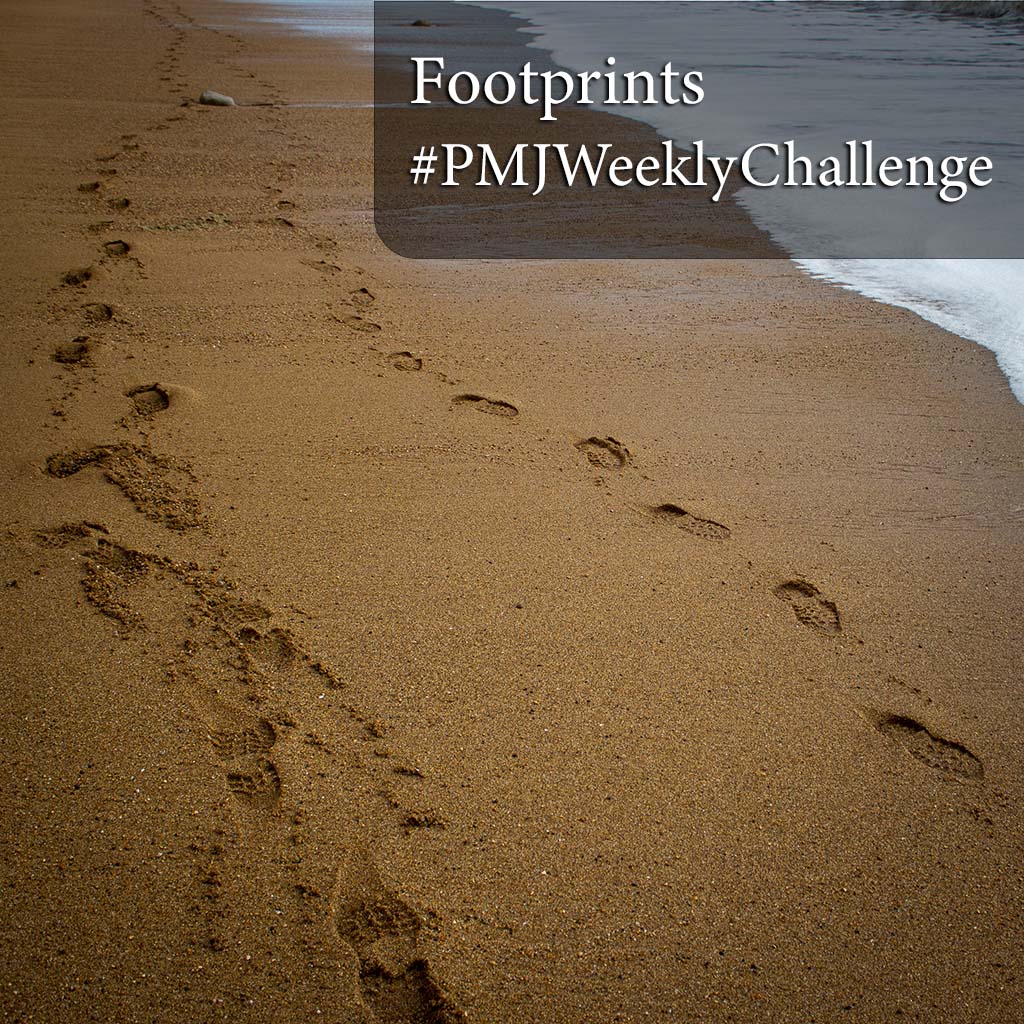 pmj_photos's tweet photo. LAUNCH: #PMJWeeklyChallenge Week 32 – FOOTPRINTS
Capture footprints/tracks: beaches, snow, mud, streets, animals, or metaphors of journeys, impermanence & solitude. Or your own take.
Tag #PMJWeeklyChallenge @pmj_photos
Walk gently, shoot boldly. Enjoy! https://t.co/uOGyC7cK6d
