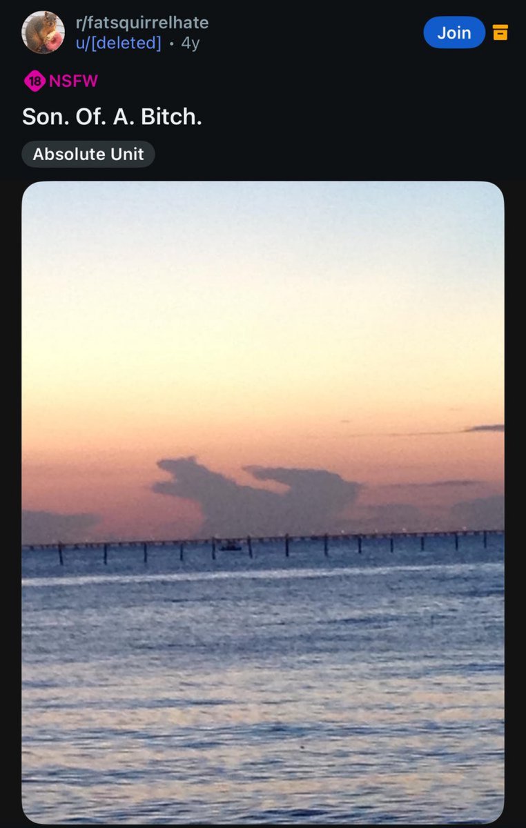 The Greatest Burger King Facts 🍉🐷👑 (@greatestbkfacts) on Twitter photo 