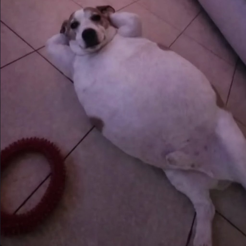 “no queda algo dulce??”