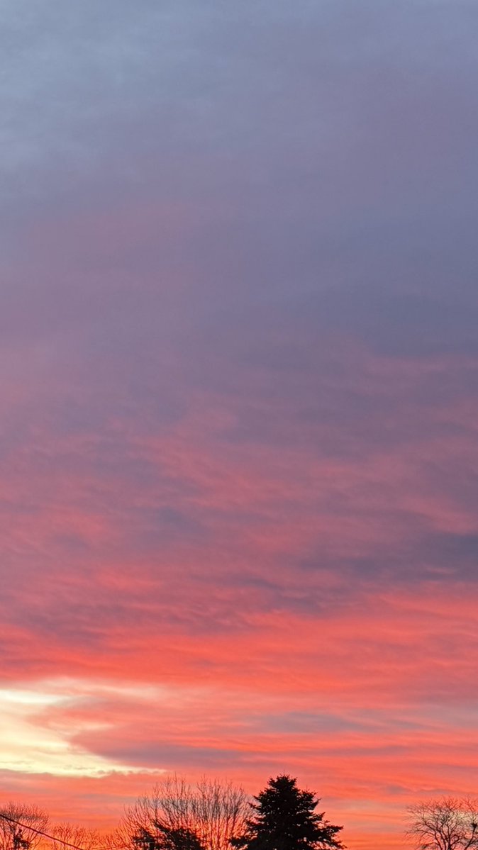 munhak31's tweet image. Dump