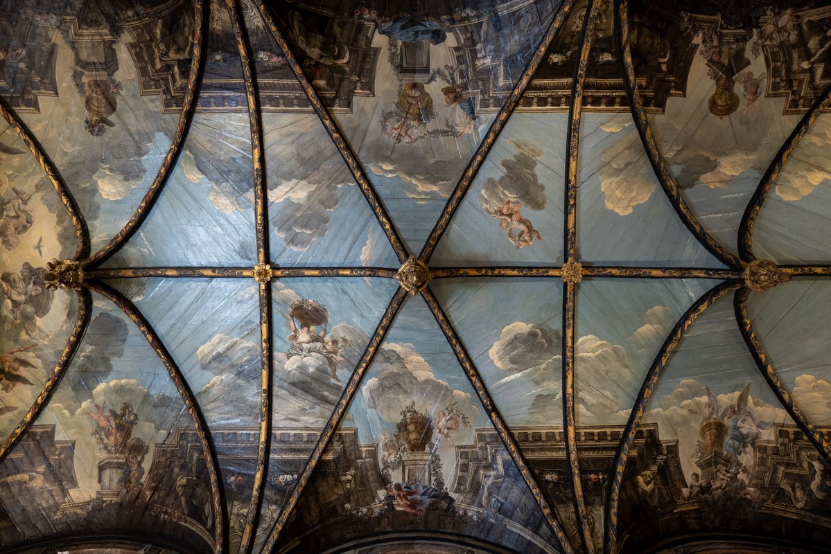 Raphael Barberi📷 tweet media